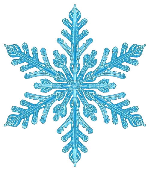 Snowflake